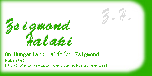 zsigmond halapi business card